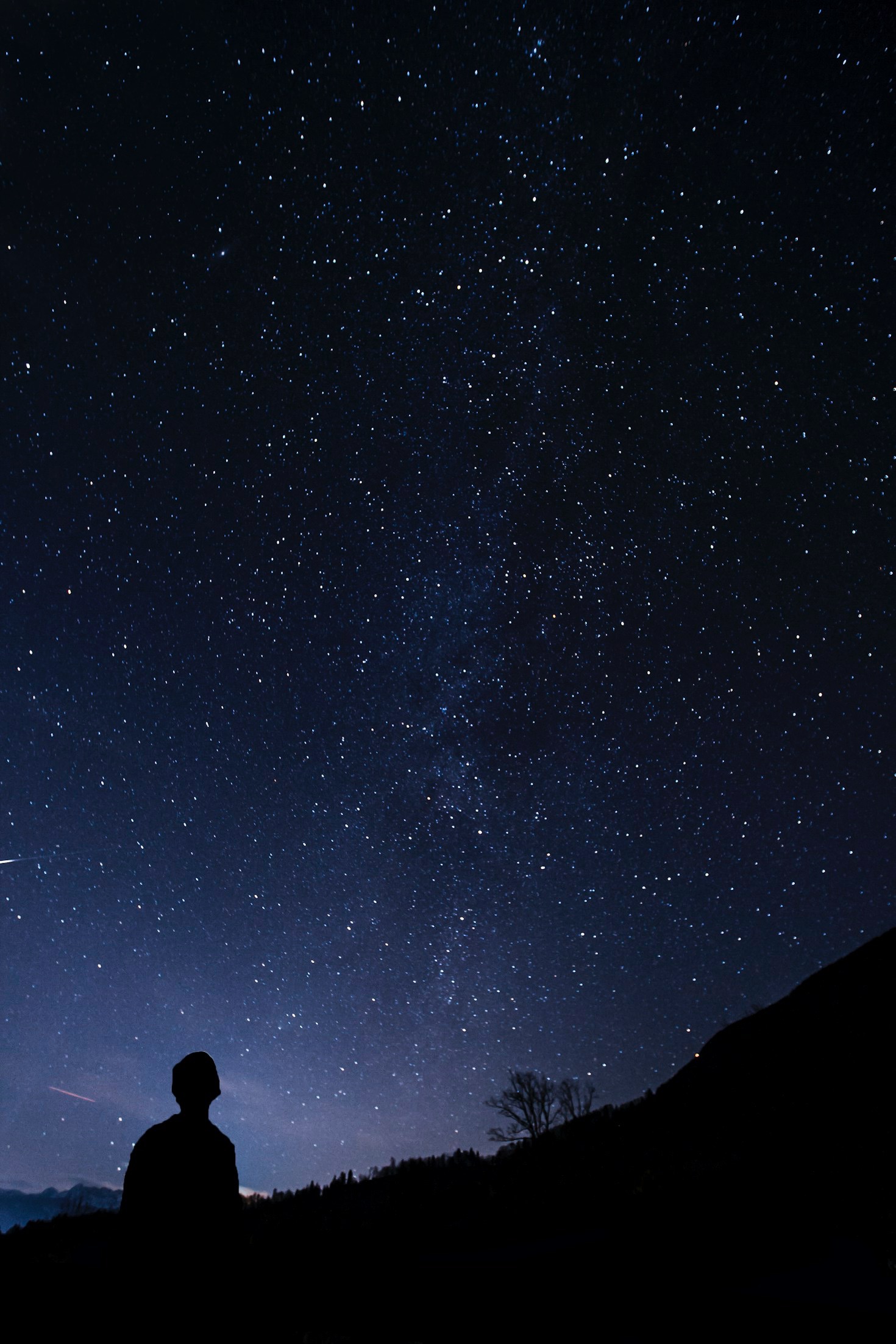 Exploring the Connection Between Dreams and Reality